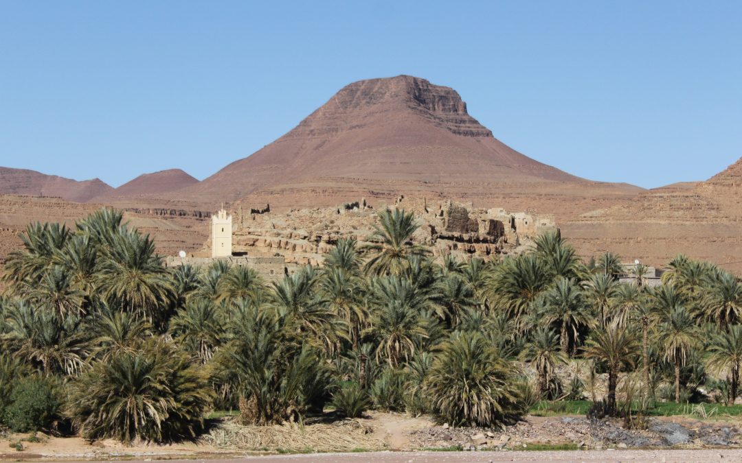 CONCOURS “THE WATER WE WANT” : NOS ÉLÈVES RÉCOMPENSÉS POUR UNE VIDÉO SUR LA GESTION DE L’EAU A ZAGORA