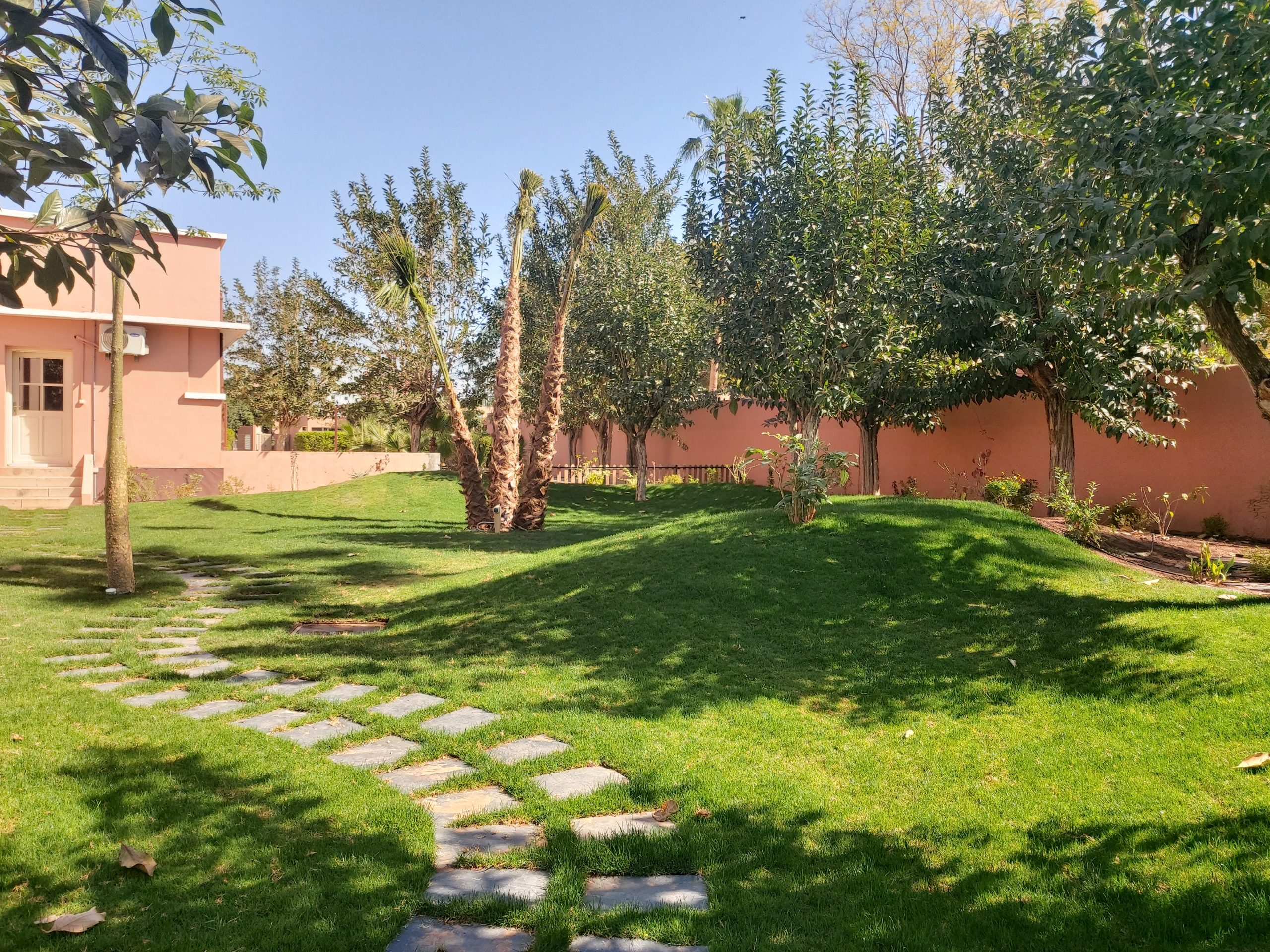 20200312_113939