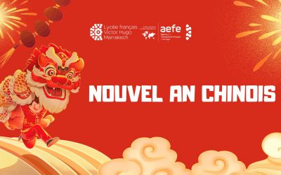 Nouvel an chinois