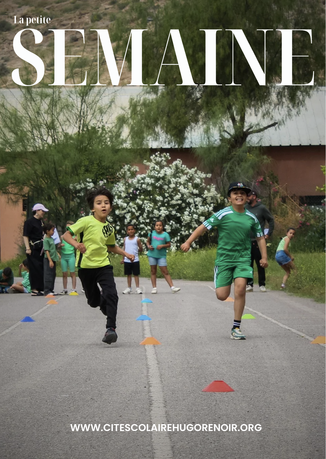 La petite semaine - newsletter hebdomadaire
